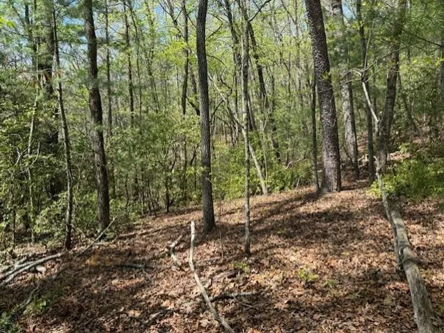 Lot 9 Marjorie Ave, Ellijay, Georgia 30536