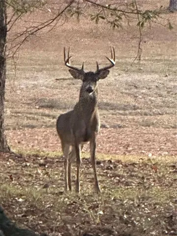 1170
