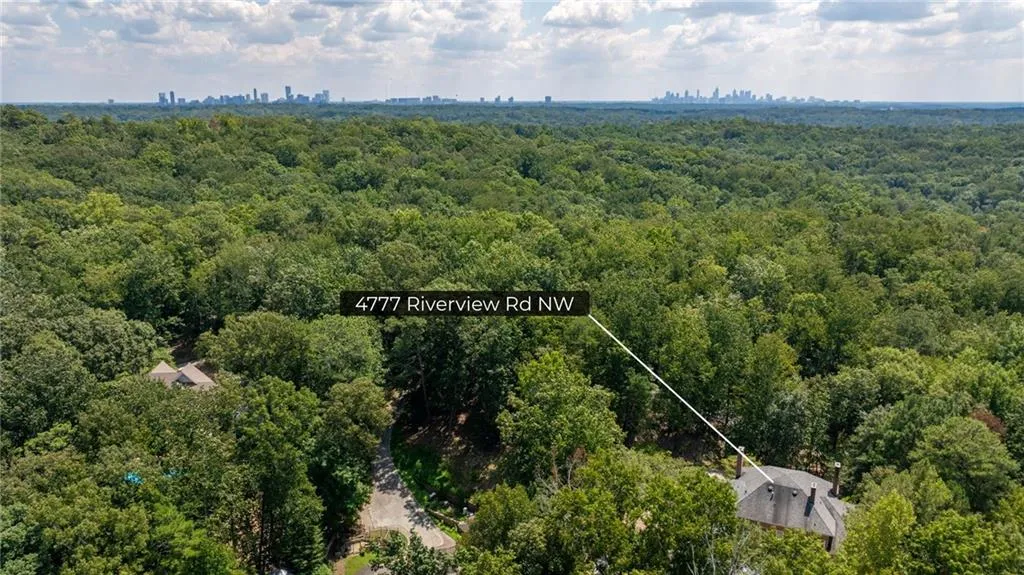 Expansive wooded landscape with a city skyline in the distance