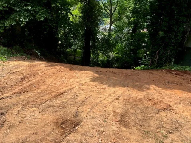 View of undeveloped land