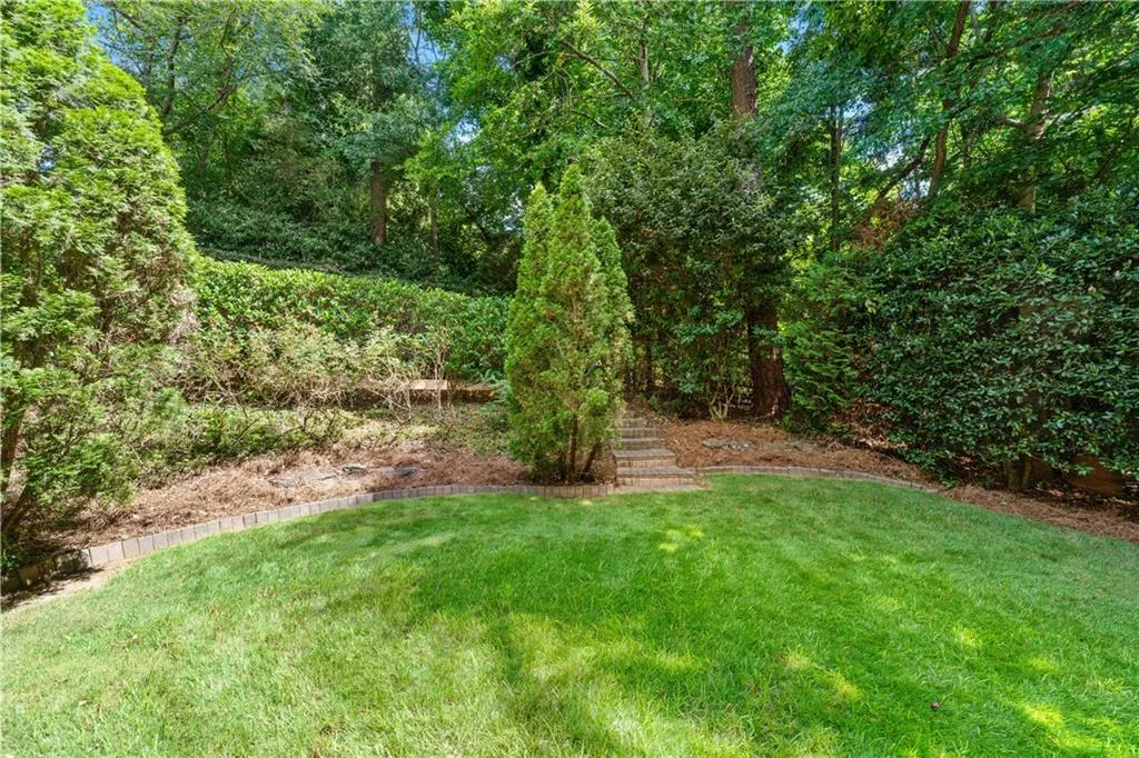 View of grassy yard