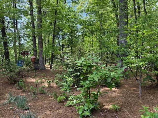 318 Ne The Chace Ne, Atlanta, Georgia 30328, 4 Bedrooms Bedrooms, ,3 BathroomsBathrooms,Residential,Sold,318 Ne The Chace Ne,7750781