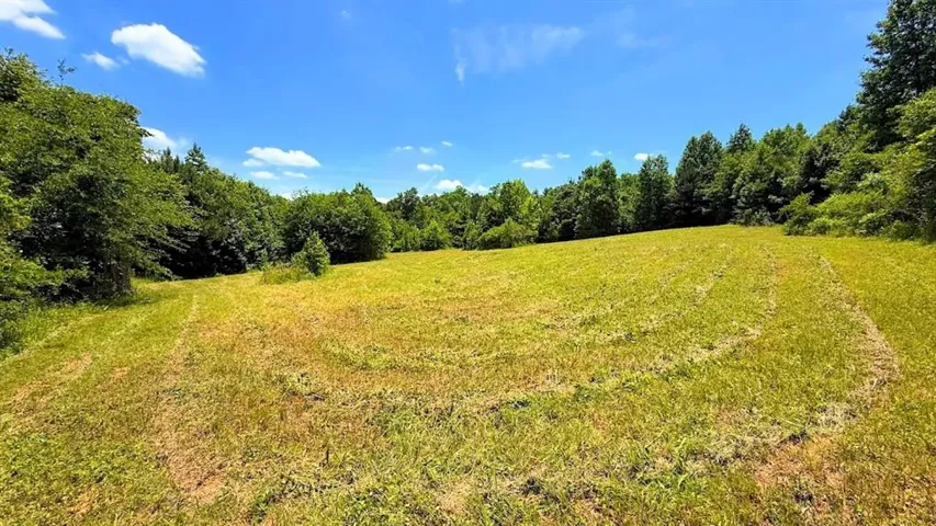 0 Nix Road, Bremen, Georgia 30110