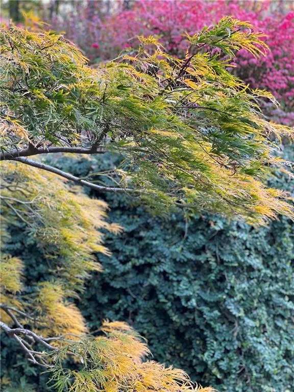 6225 River Chase Circle, Sandy Springs, Georgia 30328, 5 Bedrooms Bedrooms, ,3 BathroomsBathrooms,Residential,Sold,6225 River Chase Circle,7164515