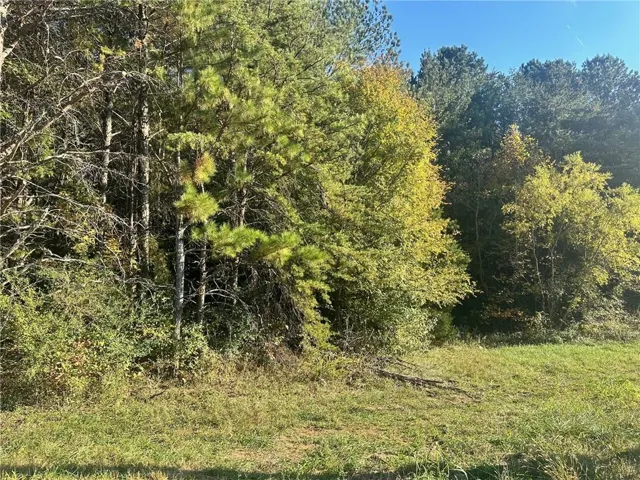 000 Us-411, Rydal, Georgia 30171