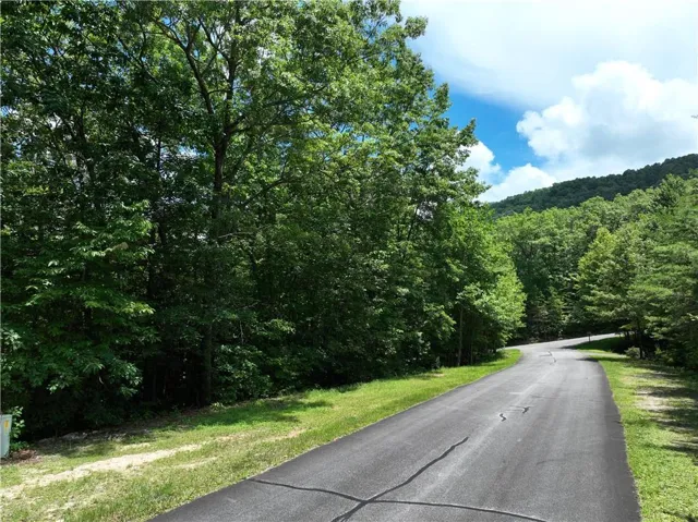 Paved road bordered by natural foliage, with a verdant hillside in the background