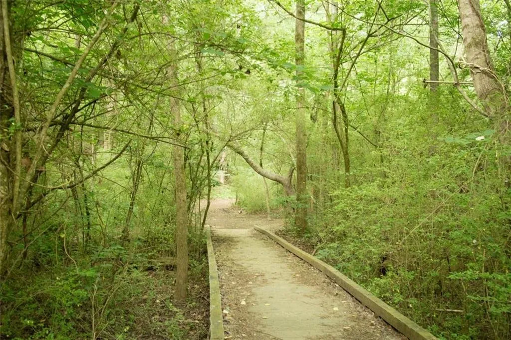 View of tree filled area