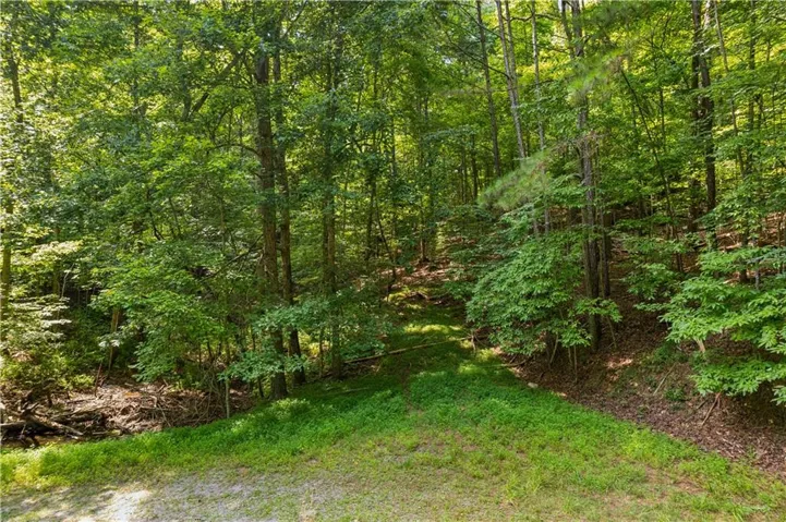 0 Noah Court, Ellijay, Georgia 30540