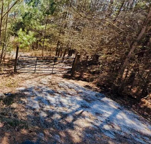 View of yard featuring a gate