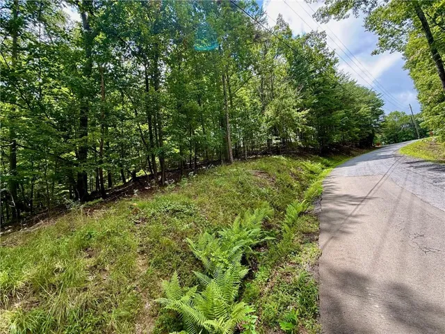 Lot 7 Stirratt Road, Ranger, Georgia 30734
