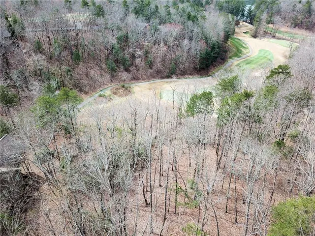 Bird's eye view featuring a forest view