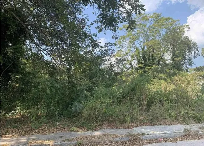 1347 Duncan Avenue, Macon, Georgia 31201