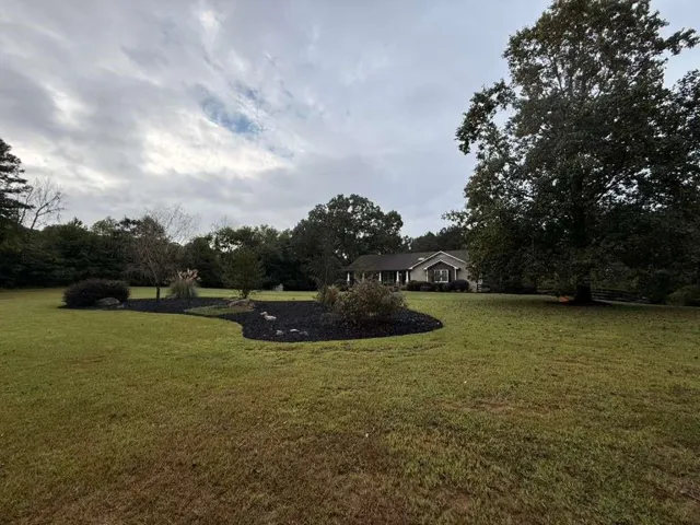 View of green lawn