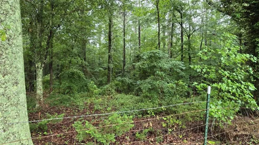 0 Bob Holman Road, Athens, Georgia 30607