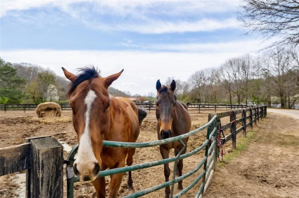 90 Cliffcreek Trace, Sandy Springs, Georgia 30350, 6 Bedrooms Bedrooms, ,4 BathroomsBathrooms,Residential,Sold,90 Cliffcreek Trace,6877833
