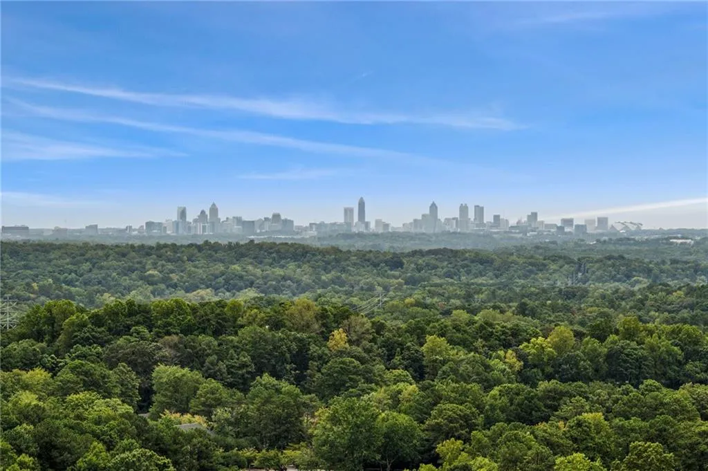 Atlanta skyline view