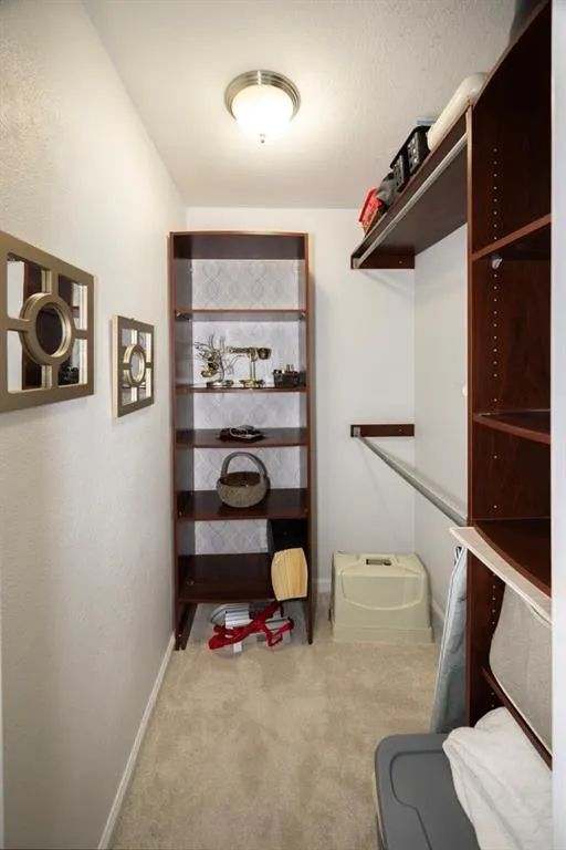 Spacious closet featuring carpet