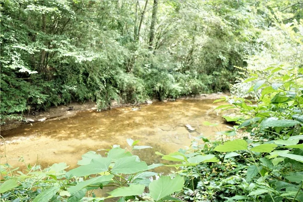 290 Mark Trail, Sandy Springs, Georgia 30328, 4 Bedrooms Bedrooms, ,2 BathroomsBathrooms,Residential,Sold,290 Mark Trail,6924585