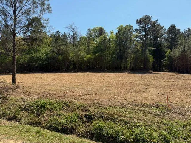 84 Popham Road Tract 2, Taylorsville, Georgia 30178