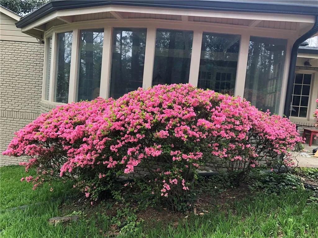 835 Starlight Circle Ne, Sandy Springs, Georgia 30342, 5 Bedrooms Bedrooms, ,4 BathroomsBathrooms,Residential,Sold,835 Starlight Circle Ne,6703189