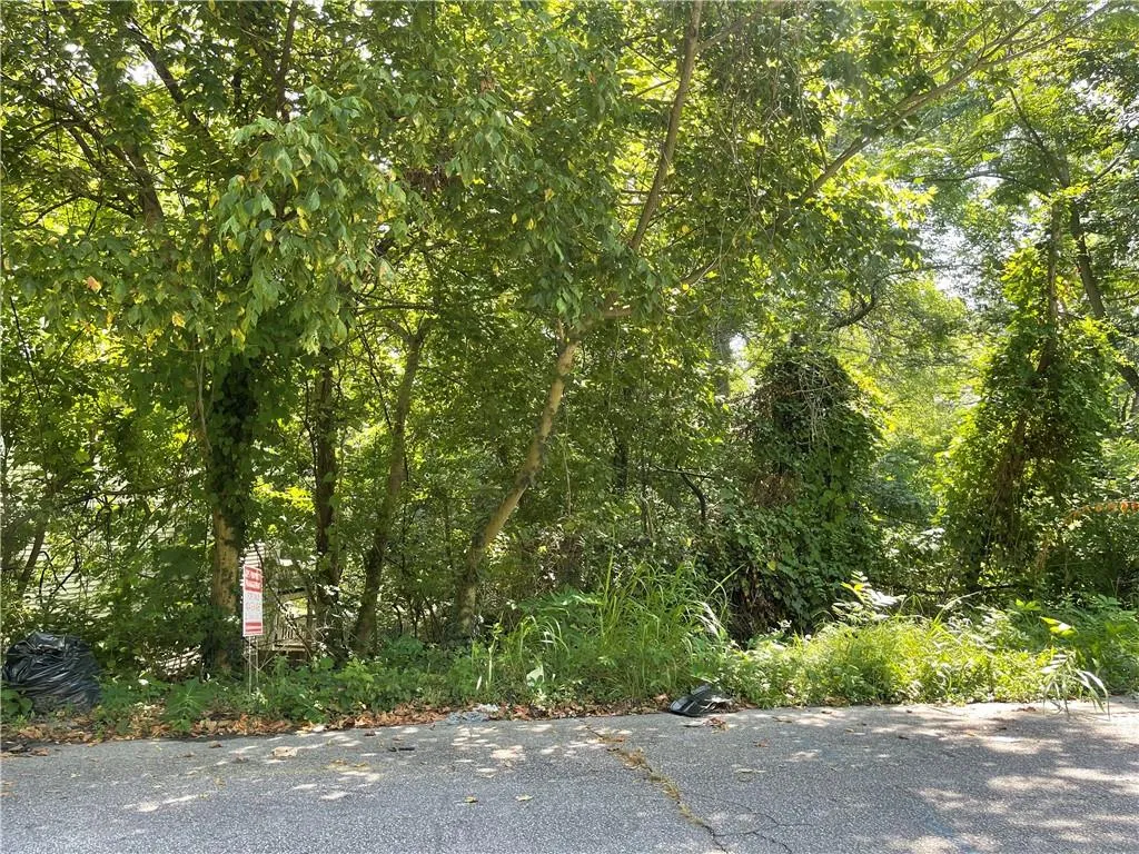 View of tree filled area