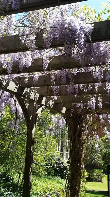 18 Willow Glen Ne Unit 18, Atlanta, Georgia 30342, 4 Bedrooms Bedrooms, ,3 BathroomsBathrooms,Residential,Sold,18 Willow Glen Ne Unit 18,5669993