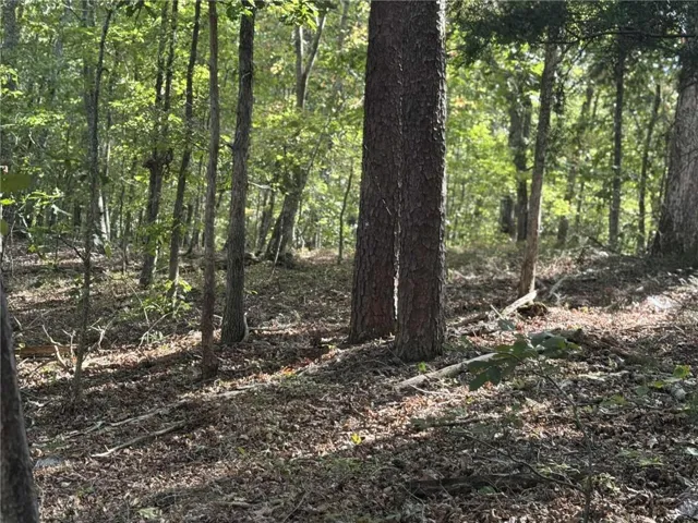 0 Cagle Road Ne, Fairmount, Georgia 30139