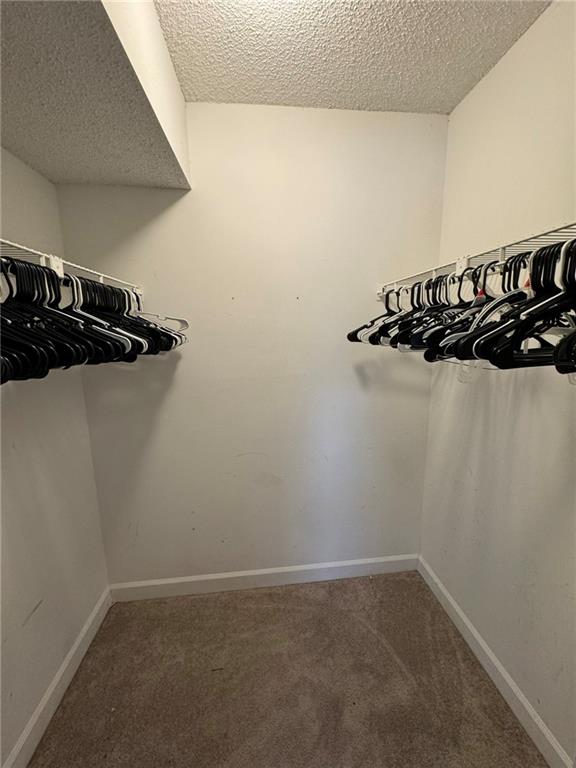 Walk in closet featuring carpet