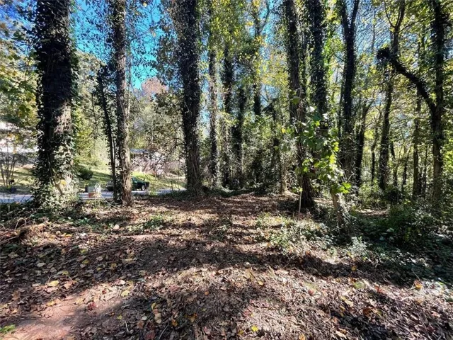 1060 De Leon Drive, Clarkston, Georgia 30021