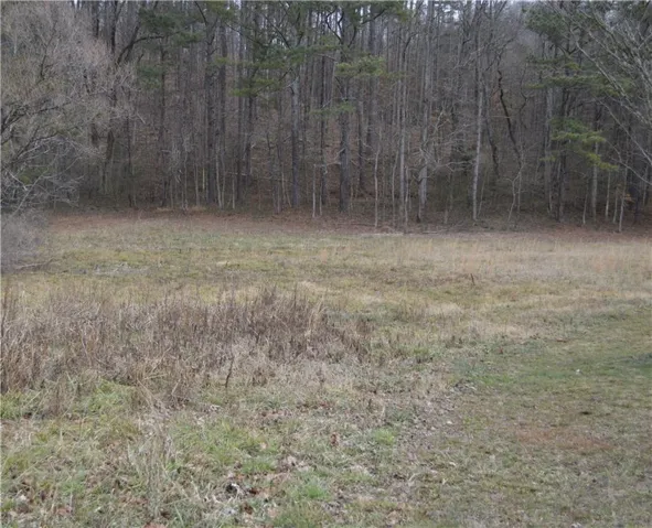 Left Bottomland
