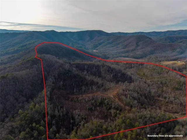 156+ Higdon Creek Road, Blue Ridge, Georgia 30513