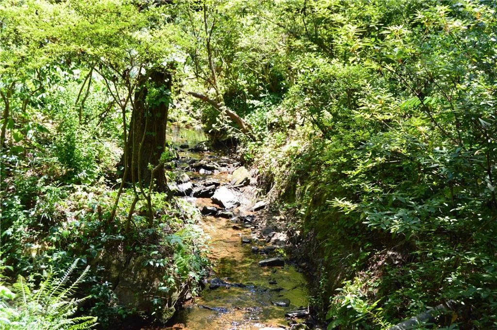 6408 Cherry Tree Lane, Sandy Springs, Georgia 30328, 3 Bedrooms Bedrooms, ,3 BathroomsBathrooms,Residential,Sold,6408 Cherry Tree Lane,5711128