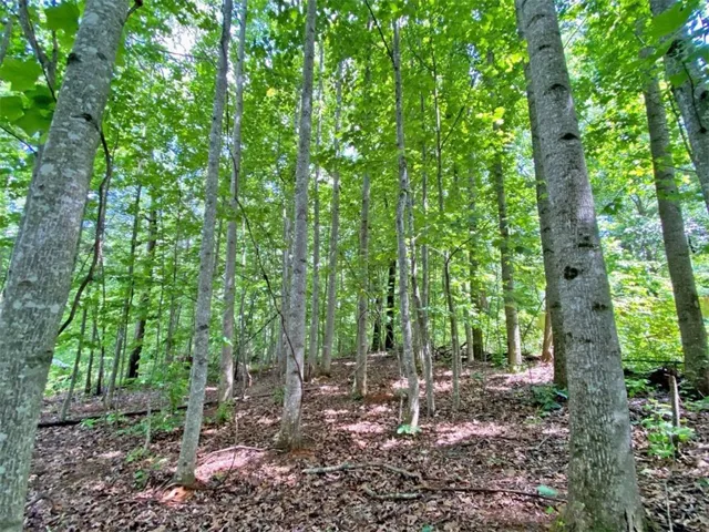 40.7ac Falling Pines Road, Dahlonega, Georgia 30533