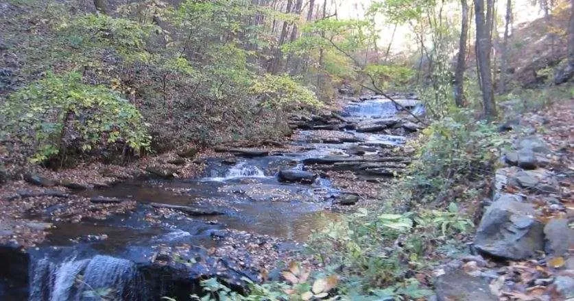 232 Andes Ridge, Ellijay, Georgia 30540