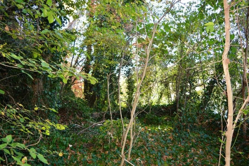 Lot 8 N Riverside Circle, Sandy Springs, Georgia 30328, ,Land,Sold,Lot 8 N Riverside Circle,5772750