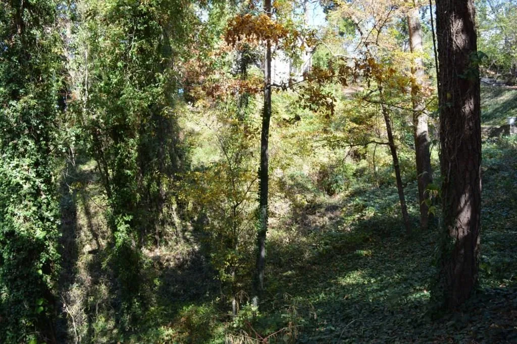 Lot 8 N Riverside Circle, Sandy Springs, Georgia 30328, ,Land,Sold,Lot 8 N Riverside Circle,5772750