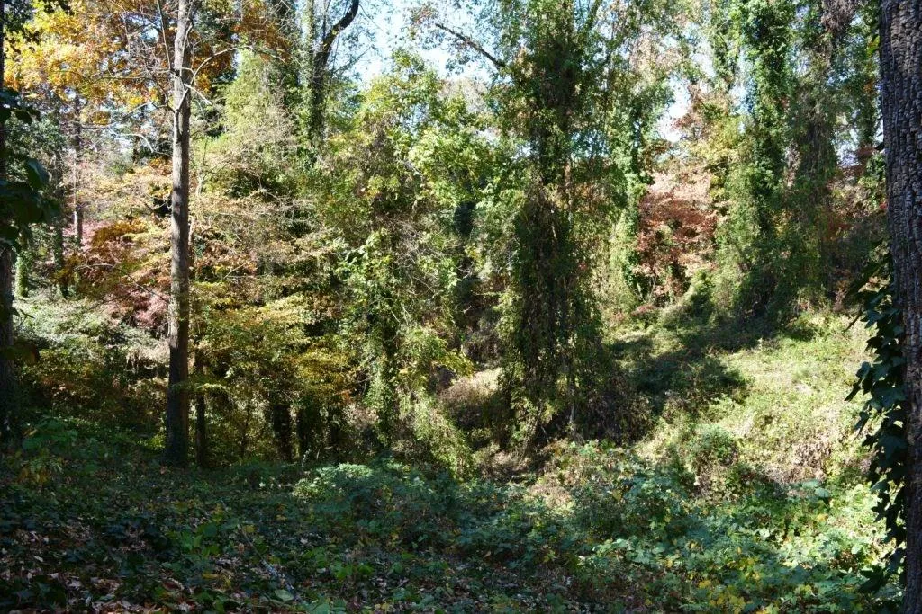 Lot 8 N Riverside Circle, Sandy Springs, Georgia 30328, ,Land,Sold,Lot 8 N Riverside Circle,5772750