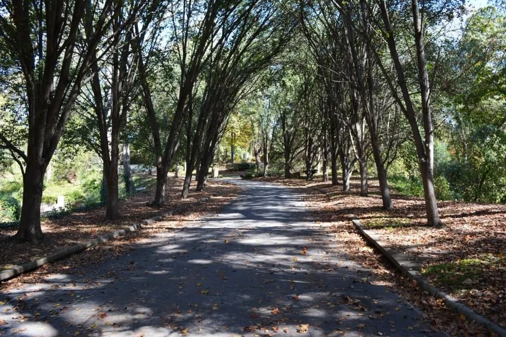 Lot 8 N Riverside Circle, Sandy Springs, Georgia 30328, ,Land,Sold,Lot 8 N Riverside Circle,5772750