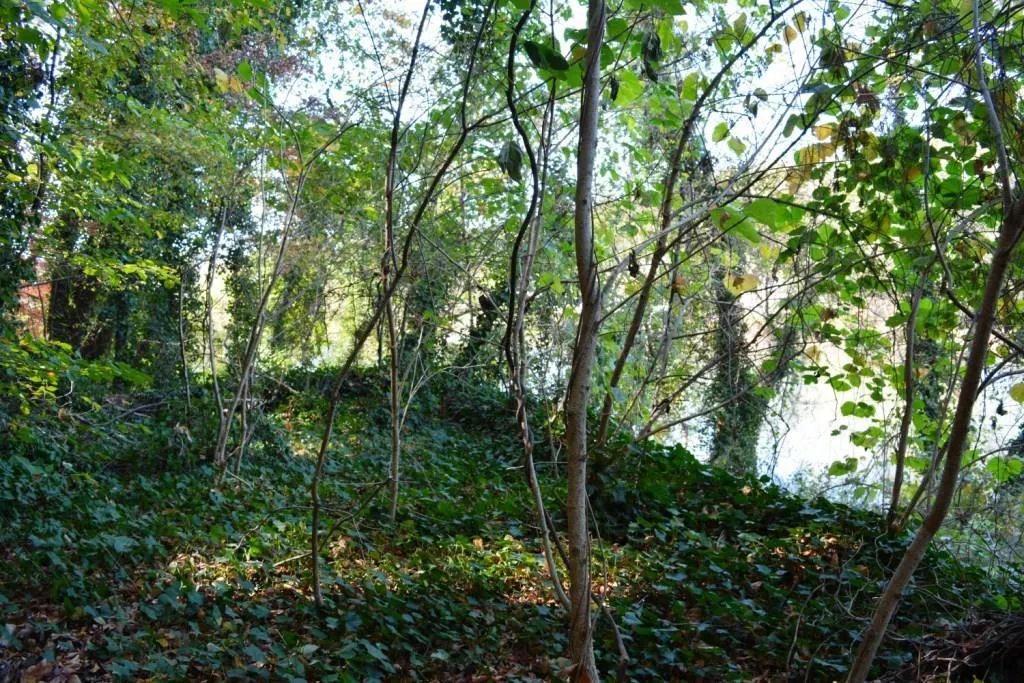 Lot 8 N Riverside Circle, Sandy Springs, Georgia 30328, ,Land,Sold,Lot 8 N Riverside Circle,5772750