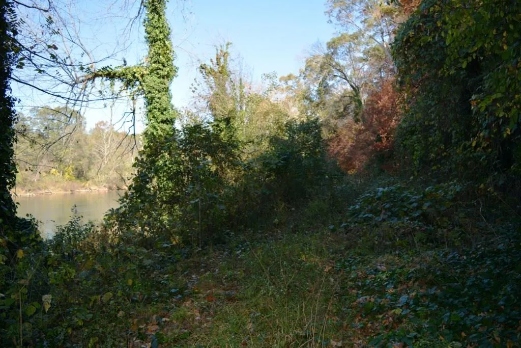 Lot 8 N Riverside Circle, Sandy Springs, Georgia 30328, ,Land,Sold,Lot 8 N Riverside Circle,5772750