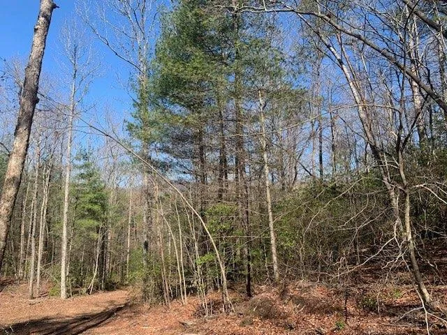 0 East New Hope Road, Ellijay, Georgia 30536