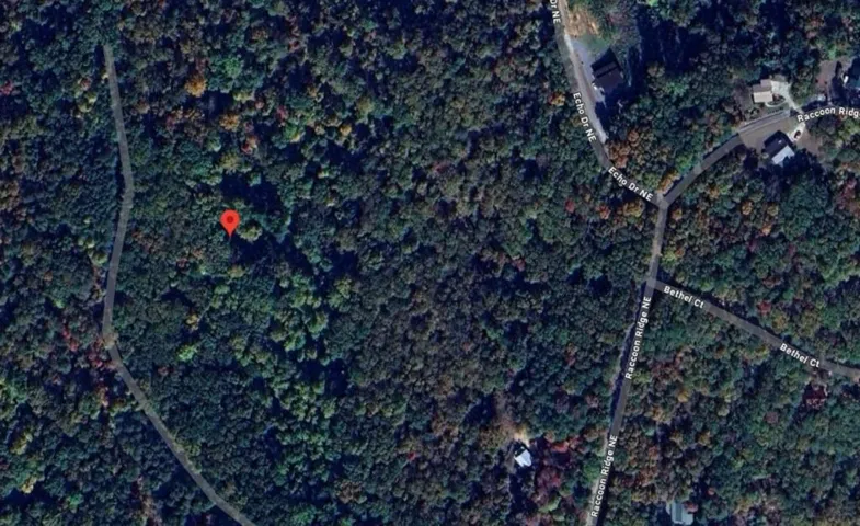 1009 N Cut Drive, Ranger, Georgia 30734
