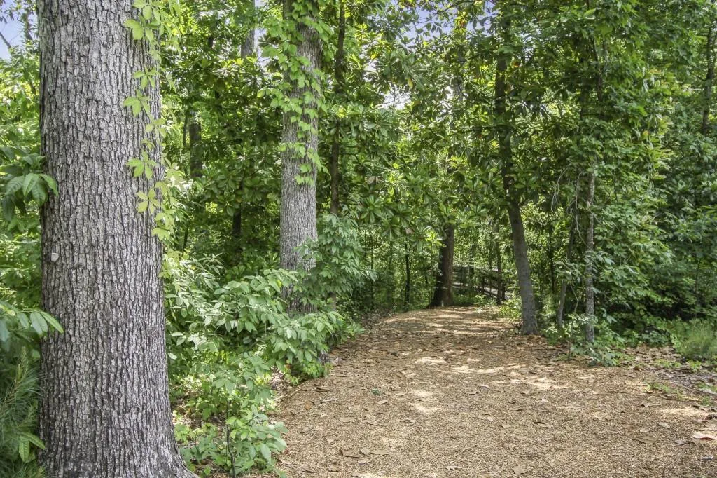 6455 Meridian Way, Sandy Springs, Georgia 30328, 5 Bedrooms Bedrooms, ,4 BathroomsBathrooms,Residential,Sold,6455 Meridian Way,7058838