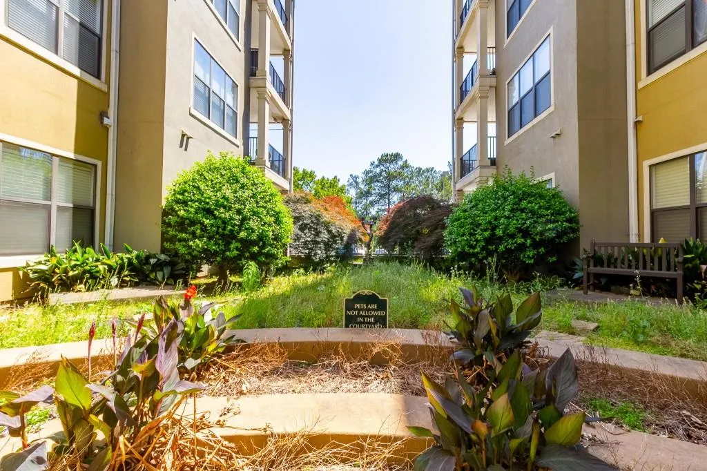 799 Hammond Drive Unit 205, Sandy Springs, Georgia 30328, 1 Bedroom Bedrooms, ,1 BathroomBathrooms,Residential,Sold,799 Hammond Drive Unit 205,7253562 799 Hammond Drive Unit 205, Sandy Springs, Georgia 30328, 1 Bedroom Bedrooms, ,1 BathroomBathrooms,Residential,Sold,799 Hammond Drive Unit 205,7253562