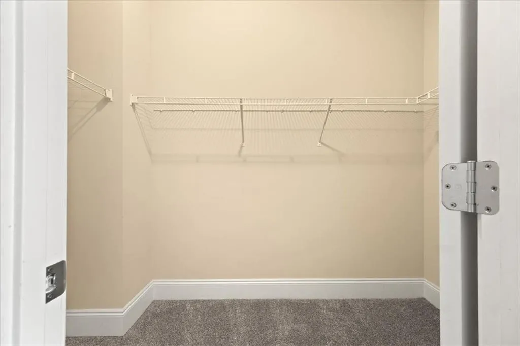 Walk in closet featuring carpet floors