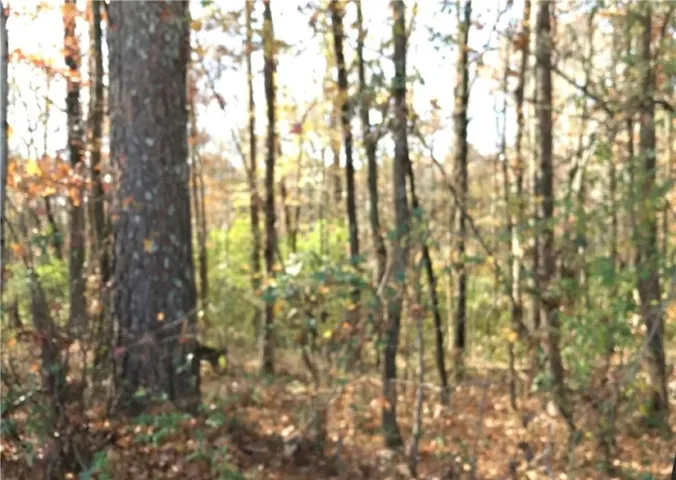 0 E Midland Avenue, Winder, Georgia 30680