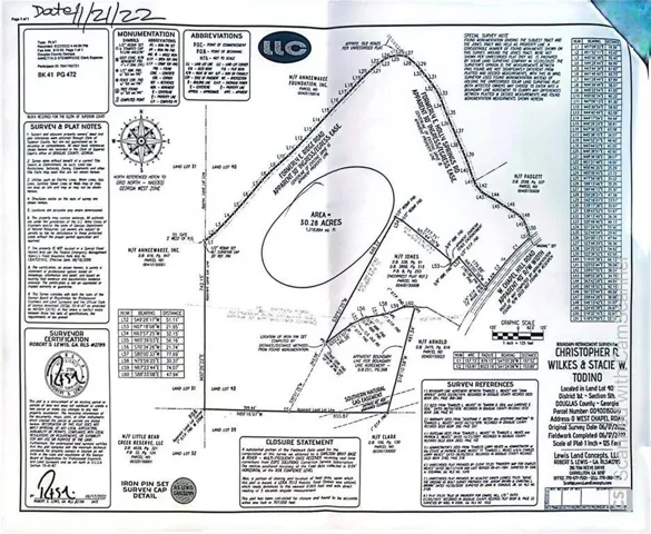Boundary Survey Plat. Illustrating the property's dimensions, area, and adjacent parcels