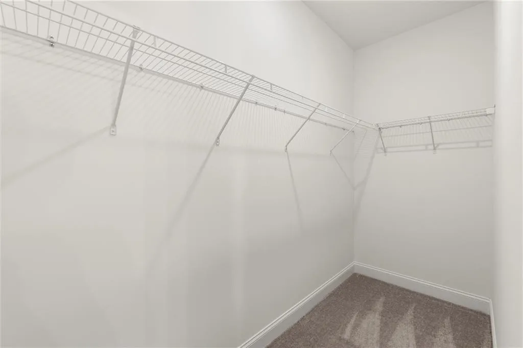 Walk in closet featuring carpet floors