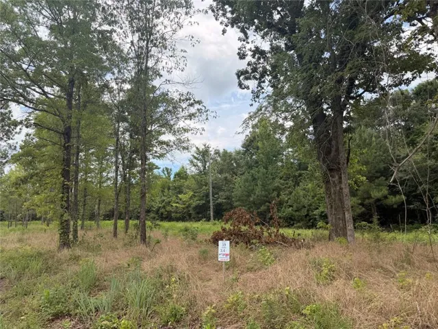 Lot 59 County Road 32, Piedmont, Alabama 36272