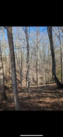 View of nature
